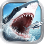 哔咔可用的加速器